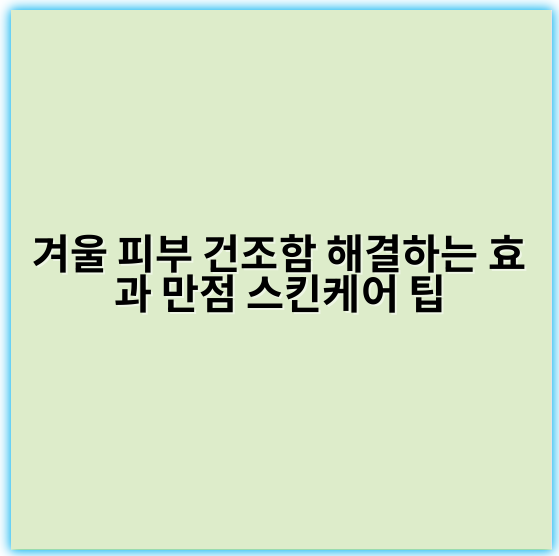 겨울 피부 건조함 해결하는 효과 만점 스킨케어 팁 - 건조함
